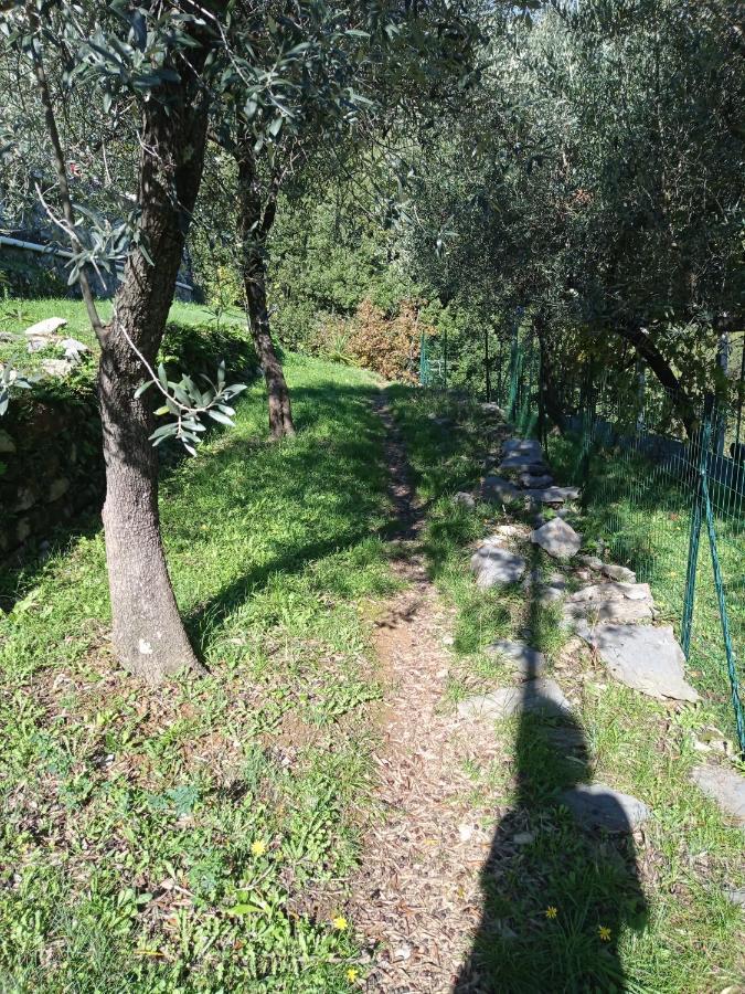 Apartamento Le Vigne Di Lenf Porto Venere Exterior foto